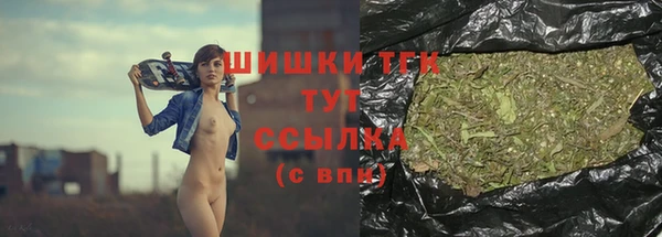 тгк Армянск