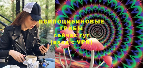 тгк Армянск