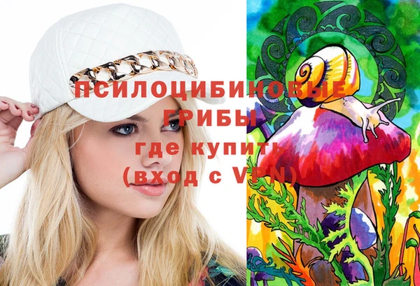тгк Армянск