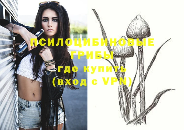 сатива Арсеньев