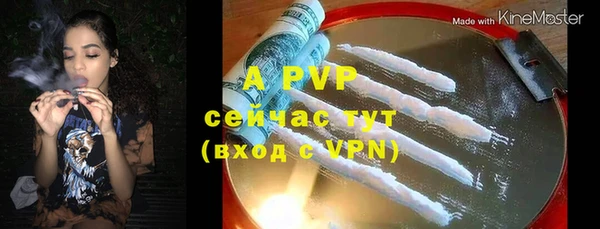 сатива Арсеньев